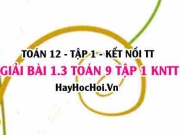 Bài 1.3 Toán 12 tập 1 SGK Kết nối tri thức